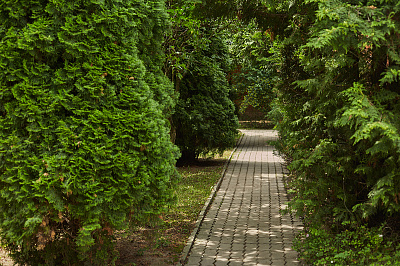 Пансионат для пожилых Щелковская